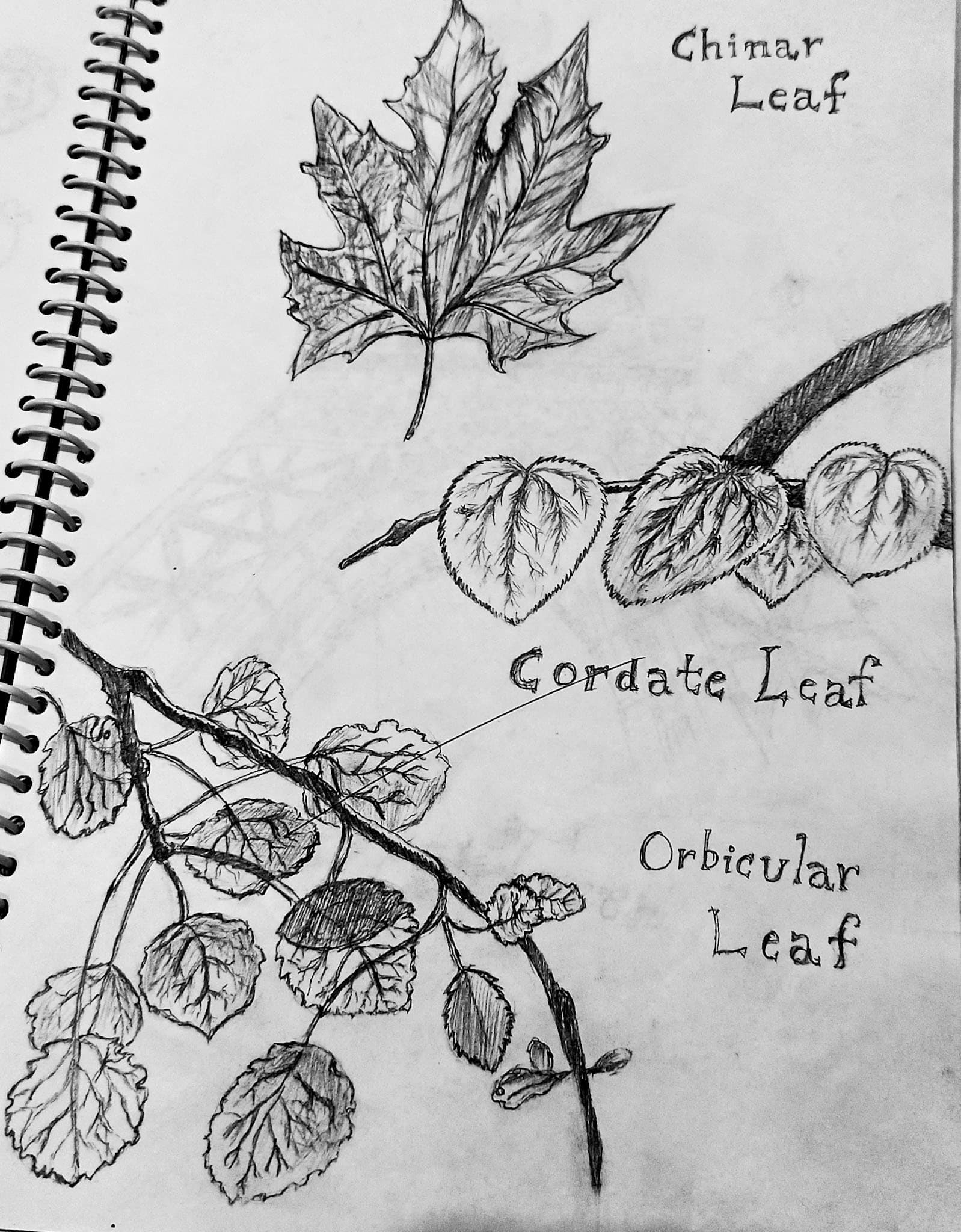 Sketching gallery image 5